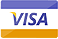 payment with Visa 